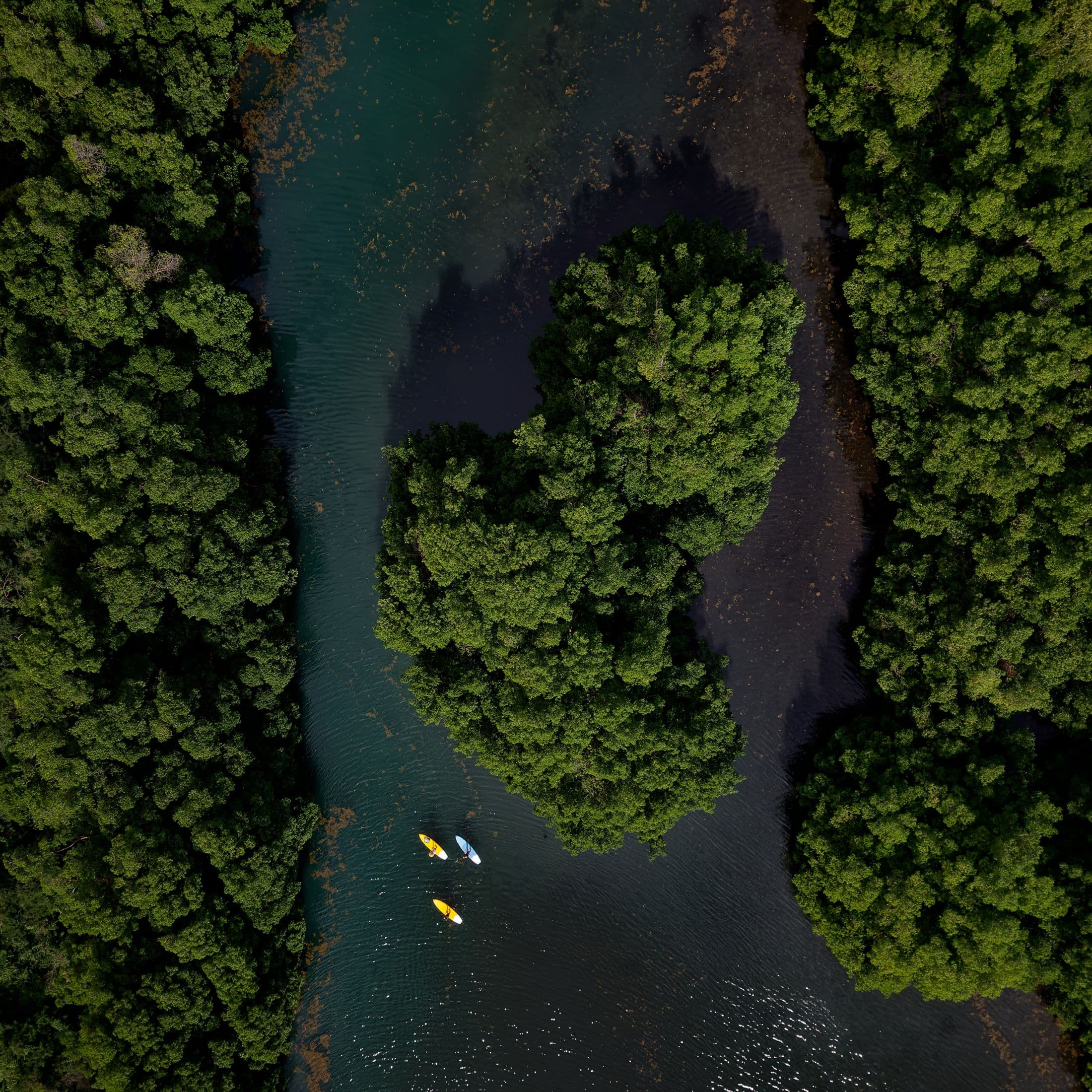 Vue aérienne de paddles dans un chenal de mangrove